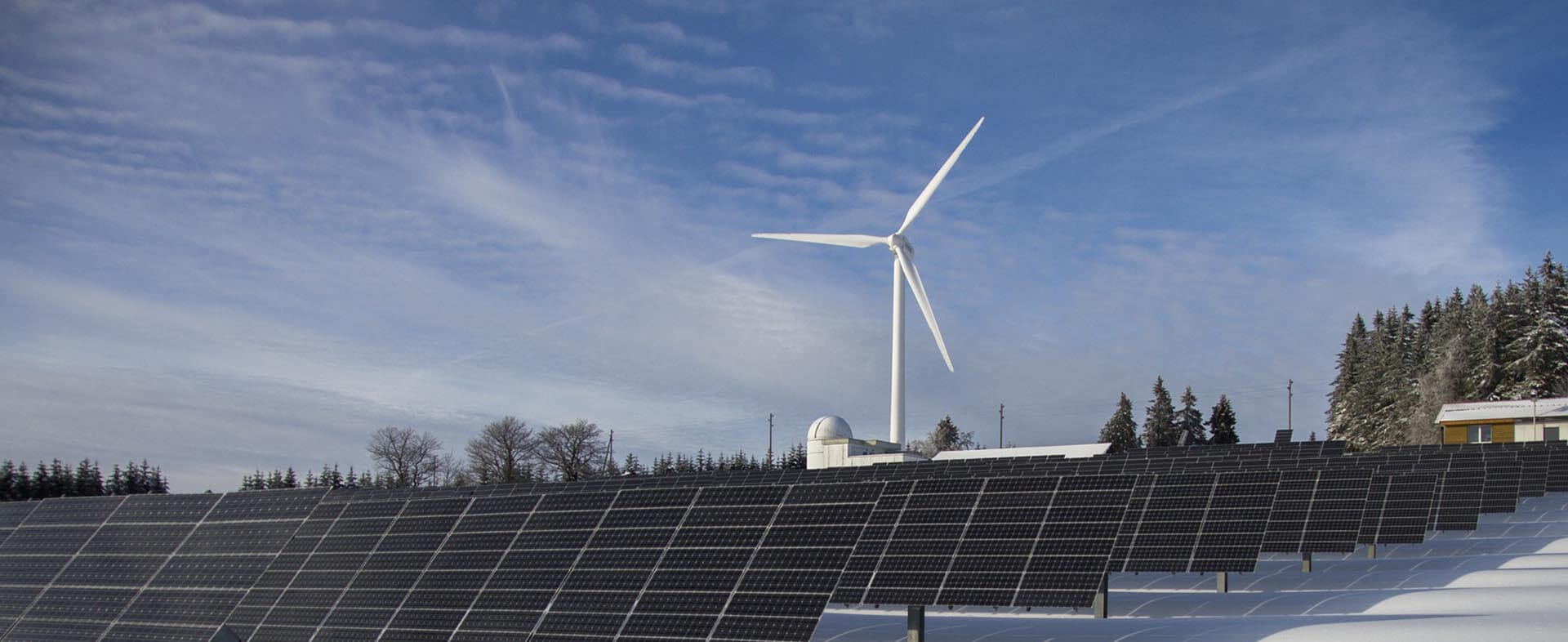 专业技术支持服务